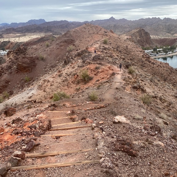 Meet your Posher, Jessie - Picture 2 of 2